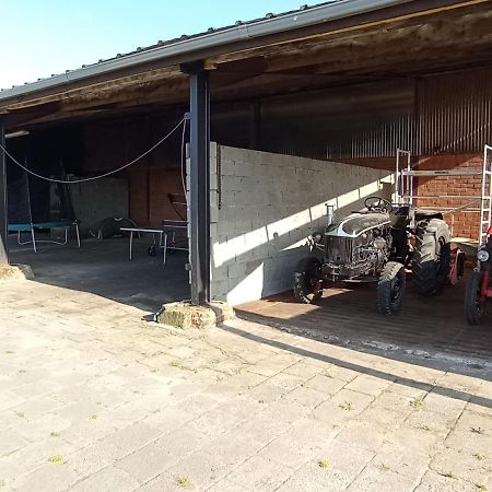 Natuur-like Glamping in Bosland Pelt Bagian luar foto