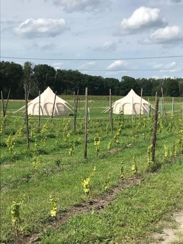 Natuur-like Glamping in Bosland Pelt Bagian luar foto