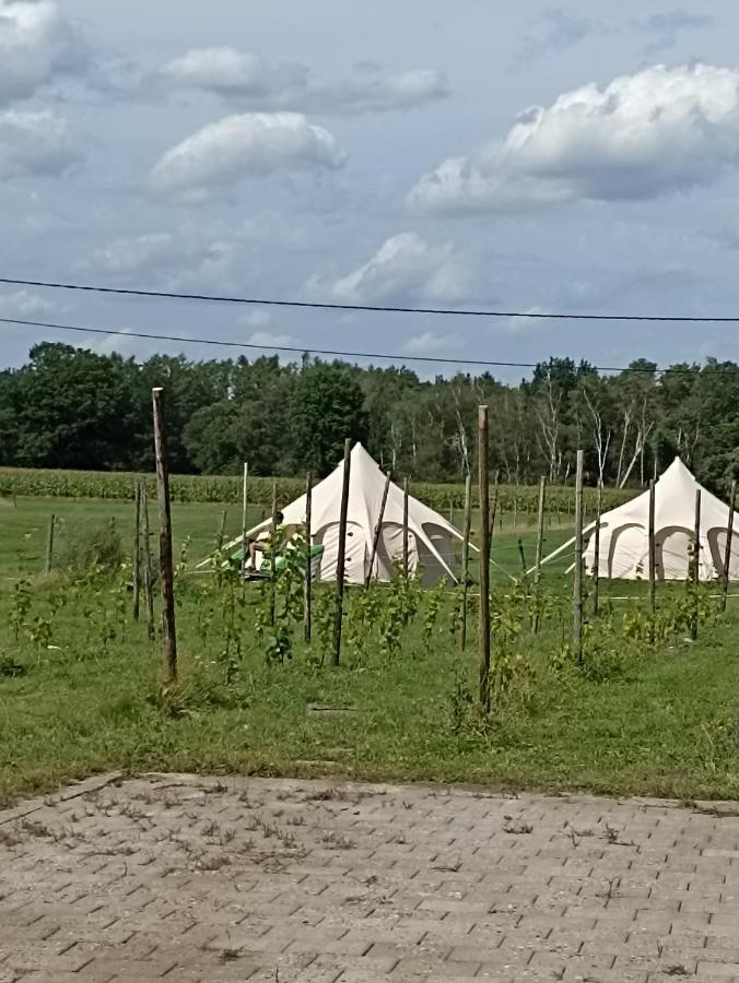 Natuur-like Glamping in Bosland Pelt Bagian luar foto