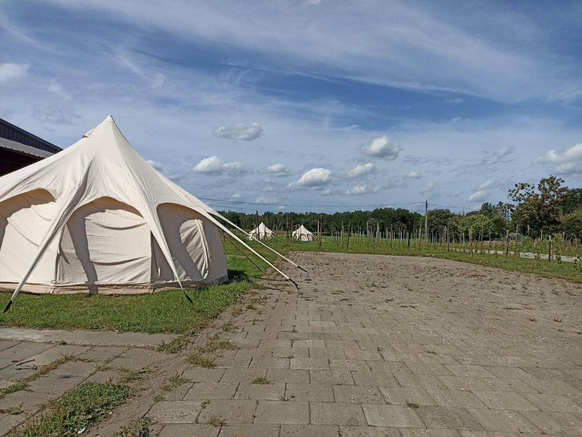 Natuur-like Glamping in Bosland Pelt Bagian luar foto