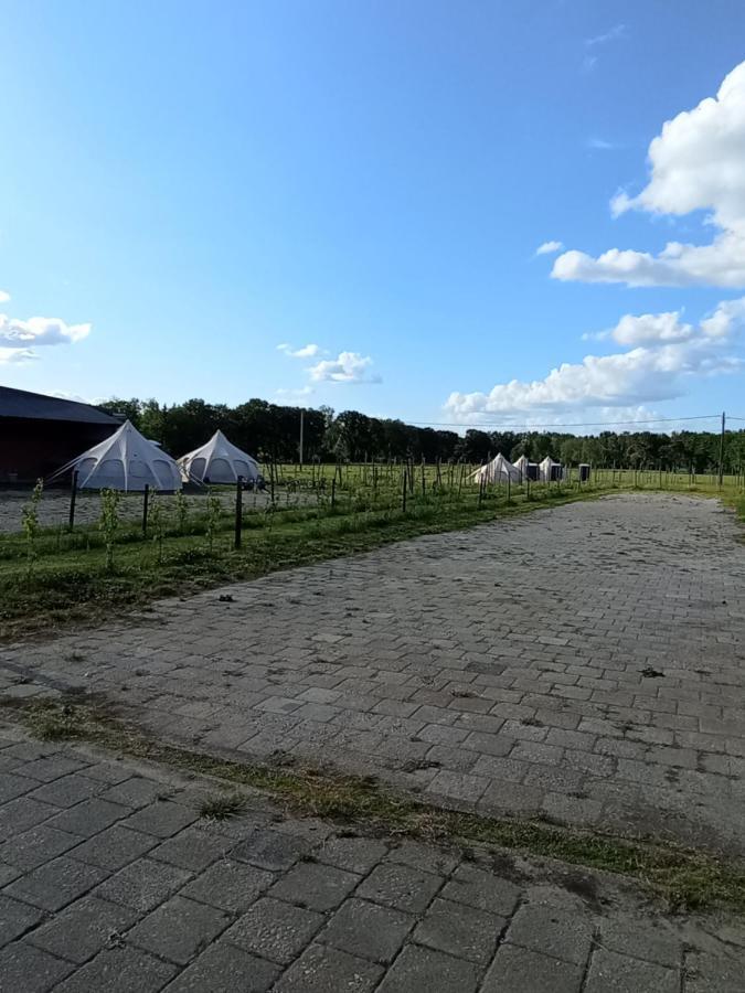 Natuur-like Glamping in Bosland Pelt Bagian luar foto