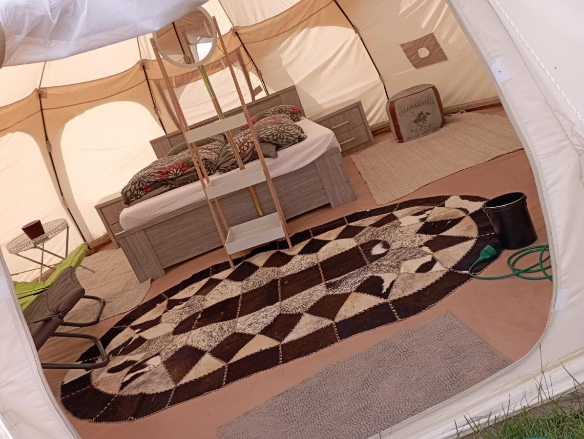 Natuur-like Glamping in Bosland Pelt Bagian luar foto