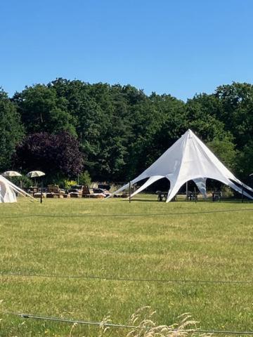 Natuur-like Glamping in Bosland Pelt Bagian luar foto